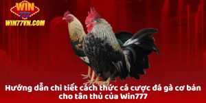 Cá cược đá gà win777