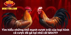 Cá cược đá gà win777